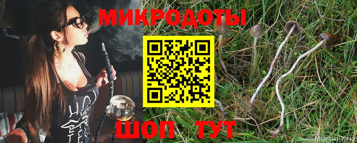 Псилоцибиновые грибы GOLDEN TEACHER Набережные Челны