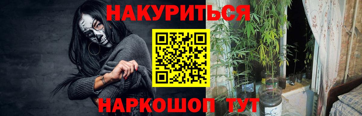 Бошки марихуана план  Вход с VPN  Бошки марихуана SATIVA & INDICA  Набережные Челны 